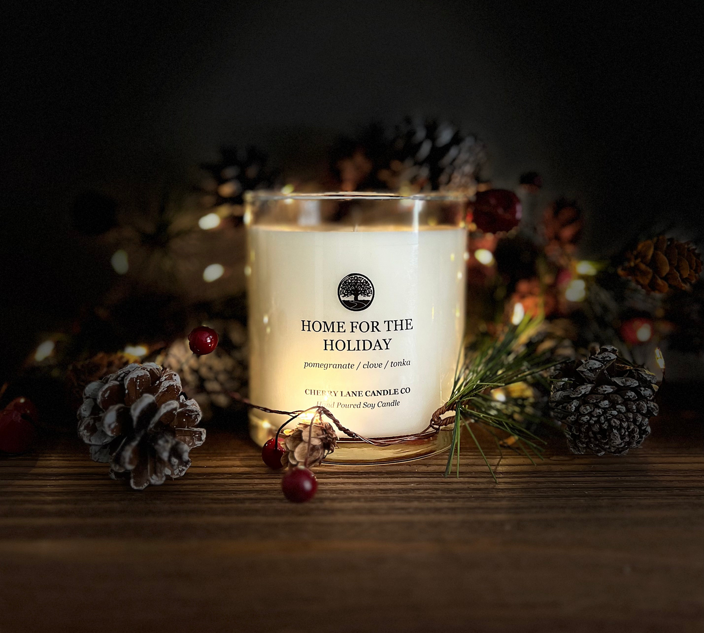 HOME FOR THE HOLIDAY